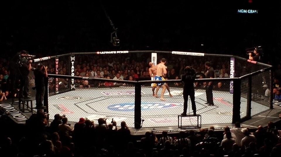 UFC octagon during a fight