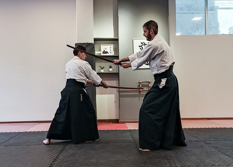 Aikido practice