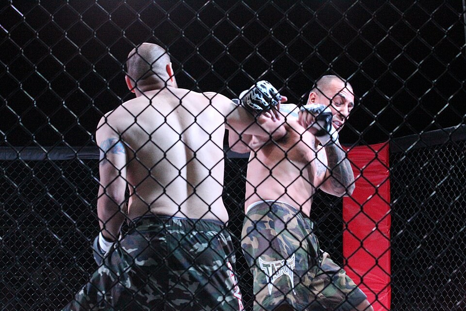 Mixed martial arts fighters in a cage