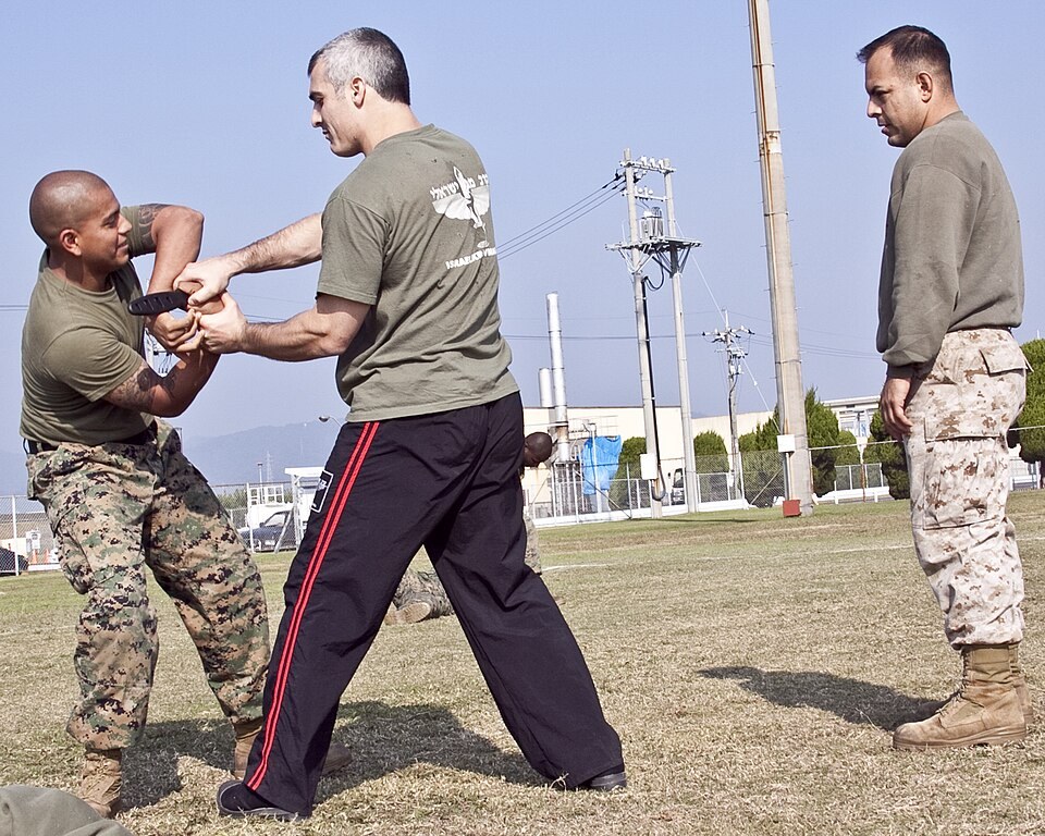Krav maga training