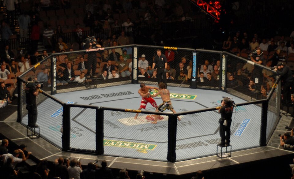 Mixed martial arts bout inside the octagon