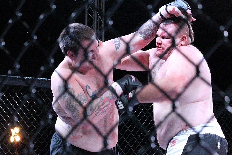 Mixed martial arts fight in a cage