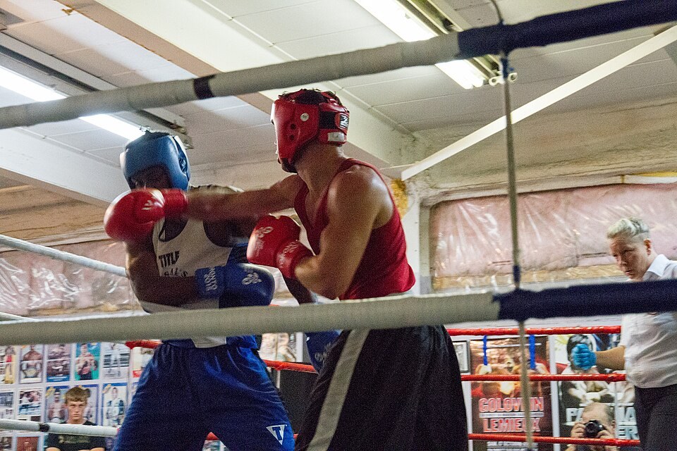 Boxing bout