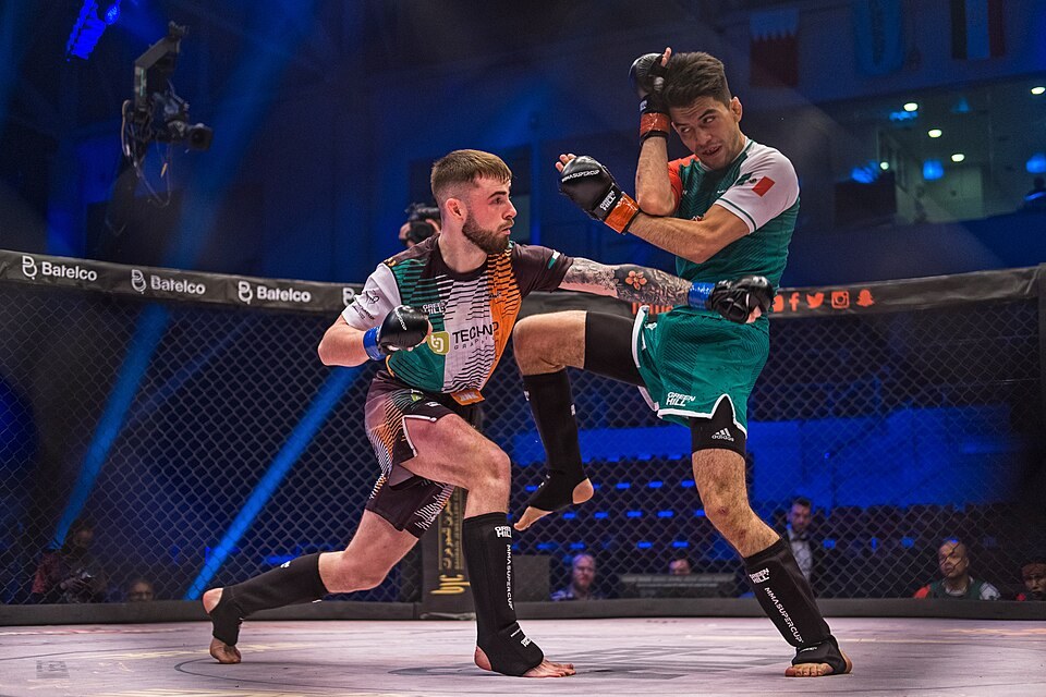 Mixed martial arts bout