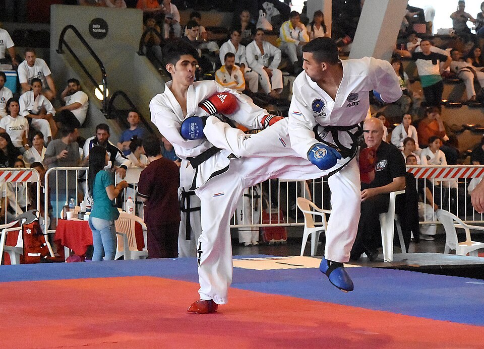 Taekwondo competition
