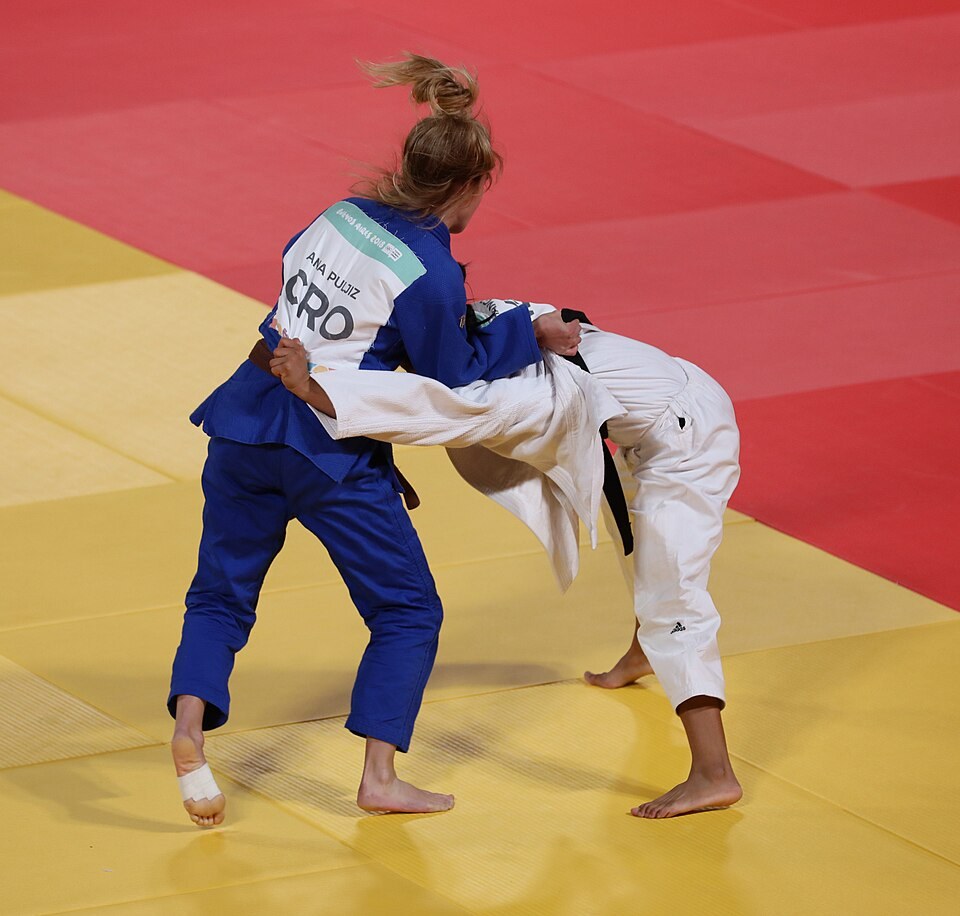 Judo match