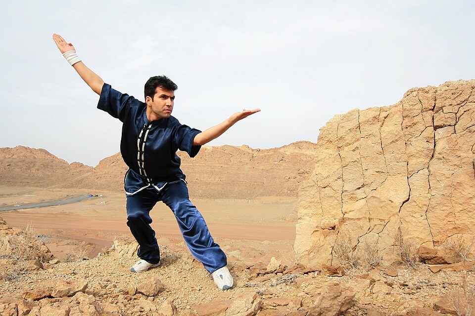 Kung fu stance