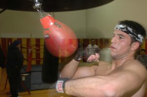 Best Speed Bag Platform Options Reviewed: Top 10 Picks With Quality Swivels & Drums