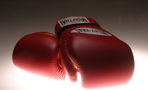 Best Muay Thai Gloves: 16 oz & 10 oz - Top Brand Options For 2020 Reviewed