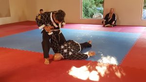 Best Grappling Dummies For BJJ & MMA: 2026 Review