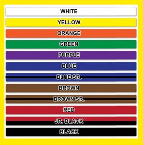 Taekwondo Belts: 7 Color Rankings & Their Meaning For Noobs