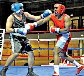 Amateur Boxing