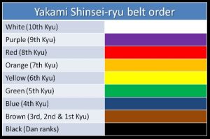 Karate Belt Order: We Research On Color Rank Meanings