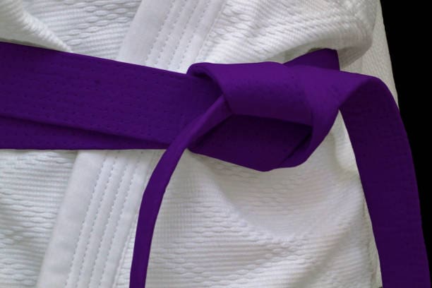 Close-up on a purple belt tied around a kimono. Purple Belt