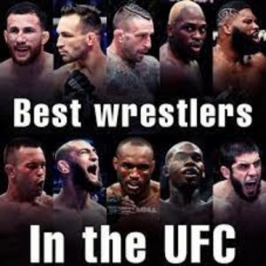 Best Wrestlers In UFC: 11 Top Square Ring Warriors To Date